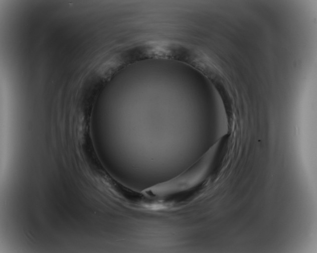 X0000085290223200703091417