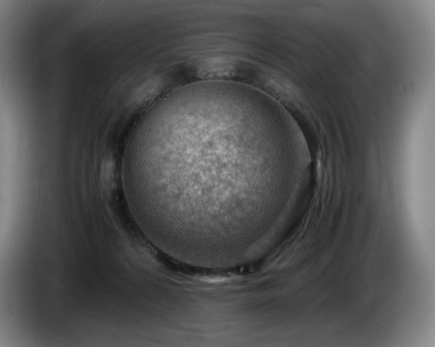 X0000085290224200703091417