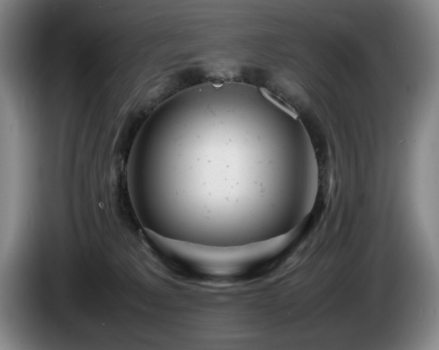 X0000085290229200703091417