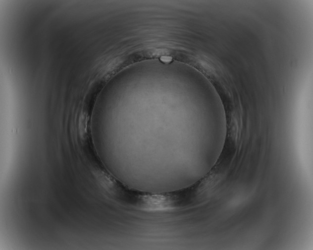 X0000085290230200703091417