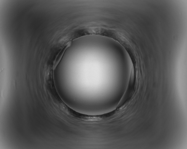 X0000085290233200703091416