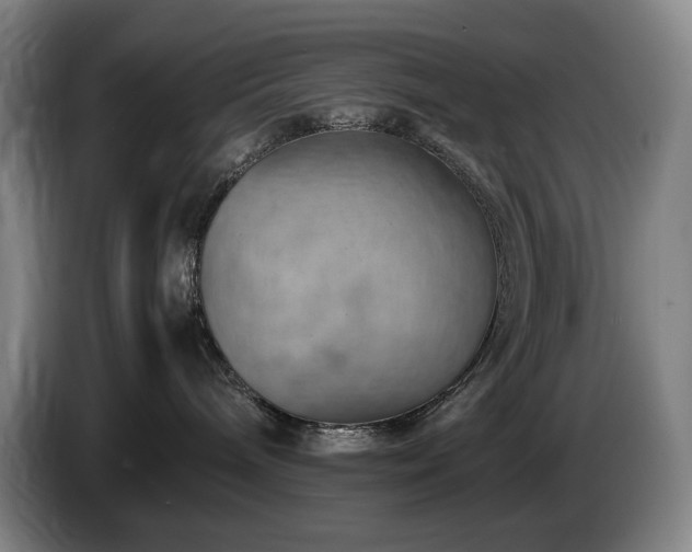 X0000085290240200703091416