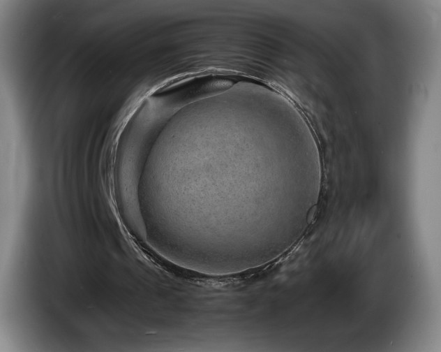 X0000085290241200703091416