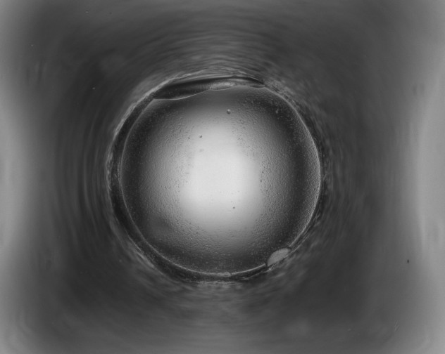 X0000085290242200703091416