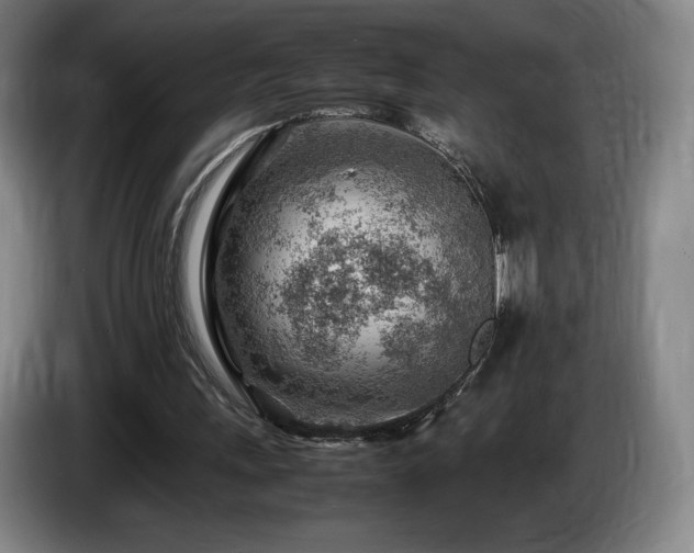 X0000085290243200703091416