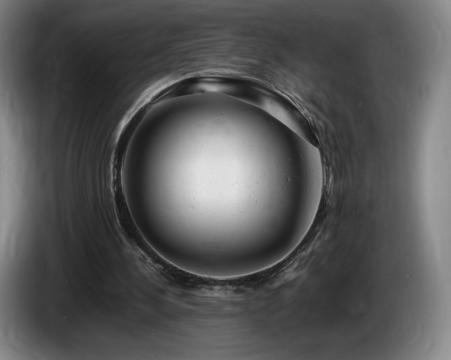 X0000085290244200703091416