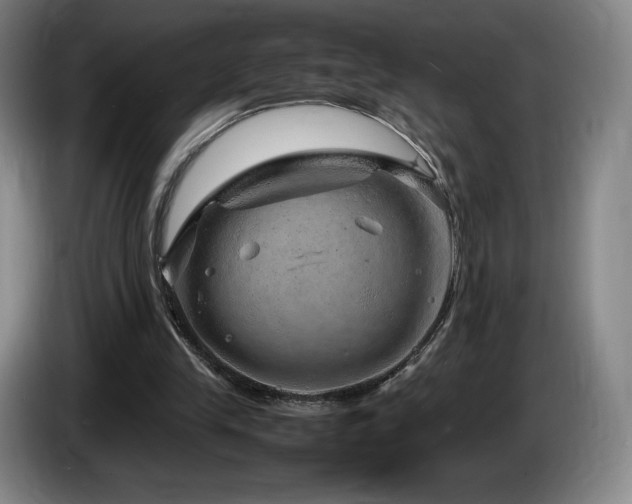 X0000085290245200703091416