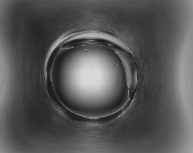 X0000085290246200703091416