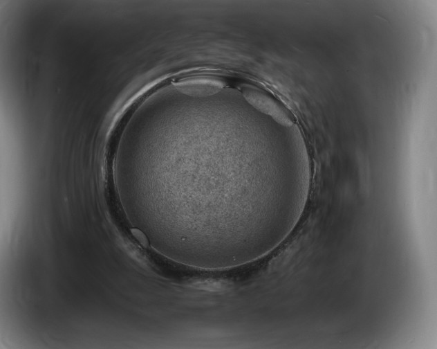 X0000085290247200703091416