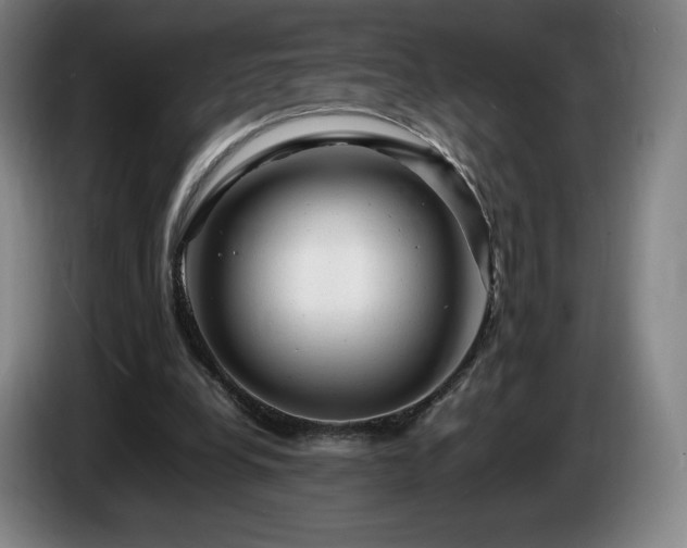 X0000085290248200703091416