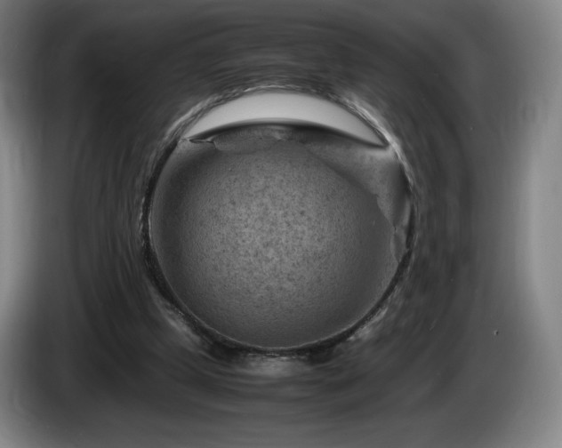 X0000085290249200703091416