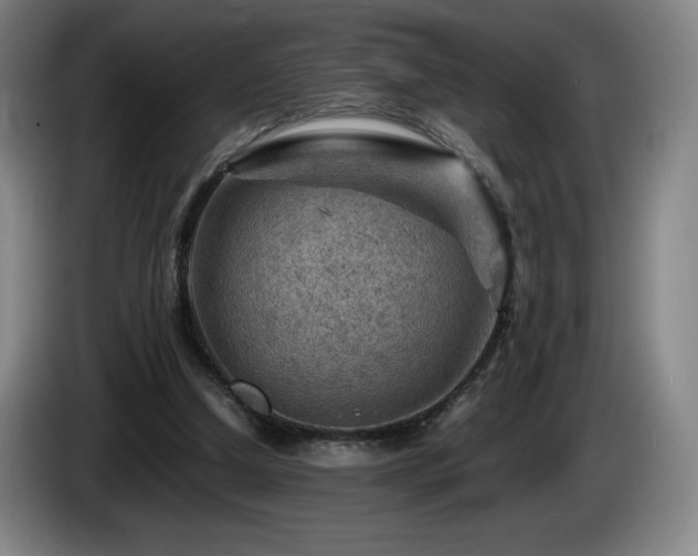 X0000085290250200703091416