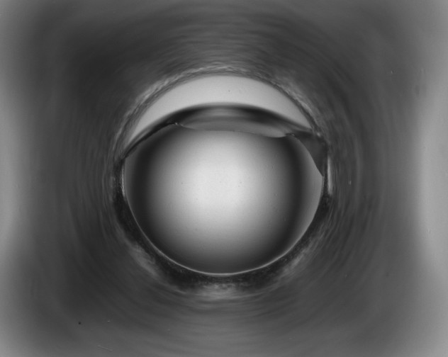 X0000085290252200703091416