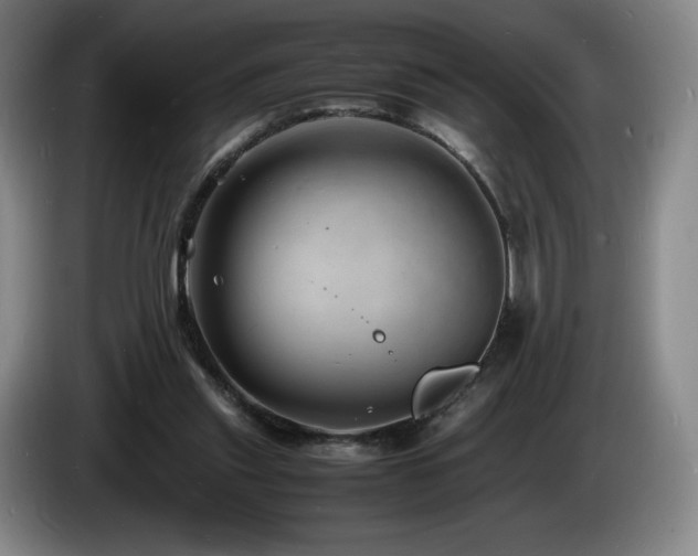 X0000085290253200703091416