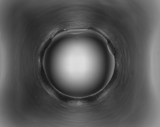 X0000085290254200703091416