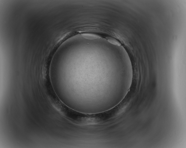 X0000085290255200703091416