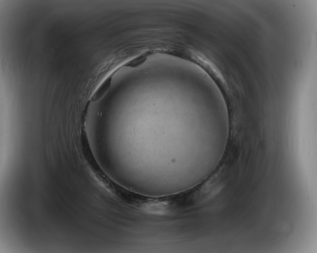 X0000085290257200703091416