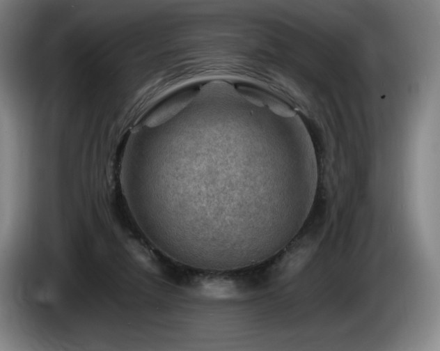 X0000085290258200703091416