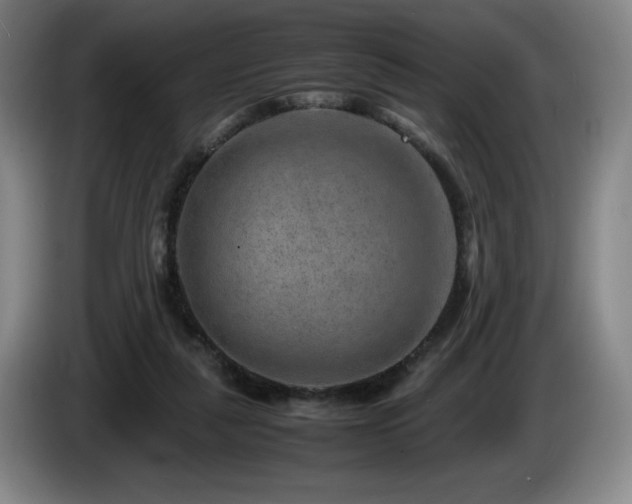 X0000085290259200703091416