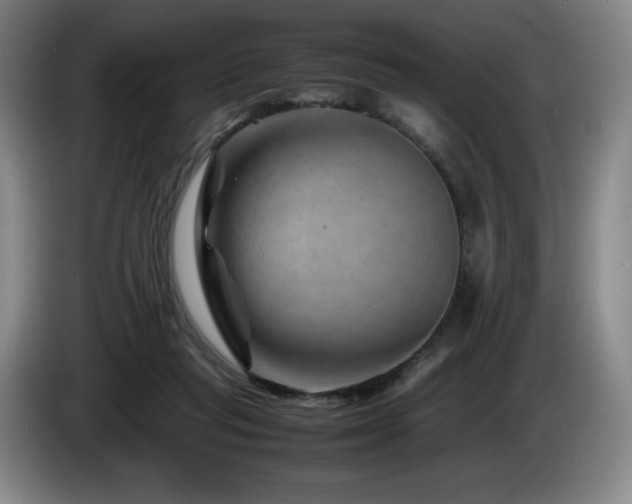 X0000085290261200703091416
