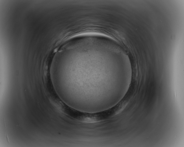 X0000085290263200703091416