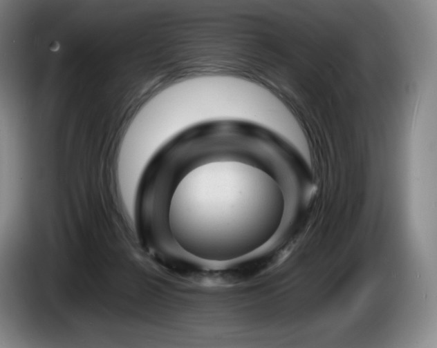 X0000085290264200703091416