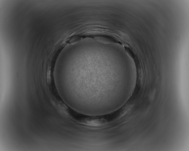 X0000085290267200703091416