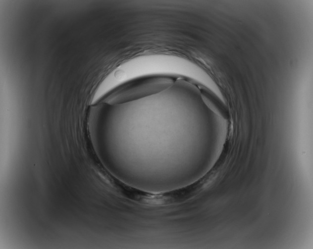 X0000085290269200703091416