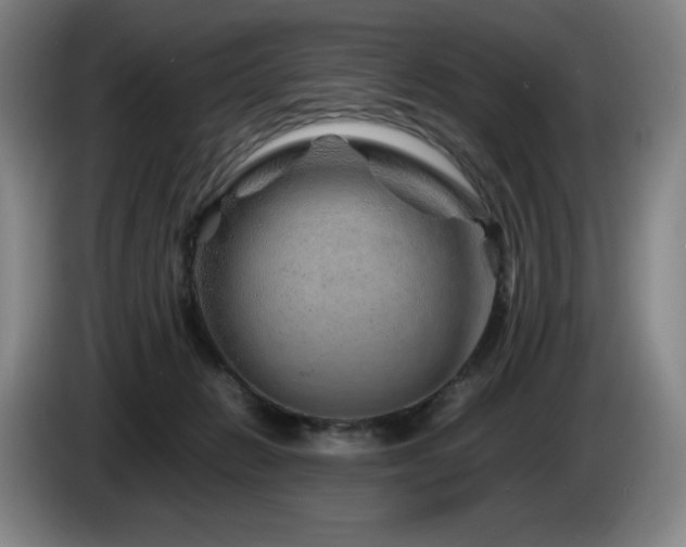 X0000085290270200703091416