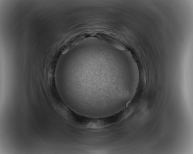 X0000085290271200703091416