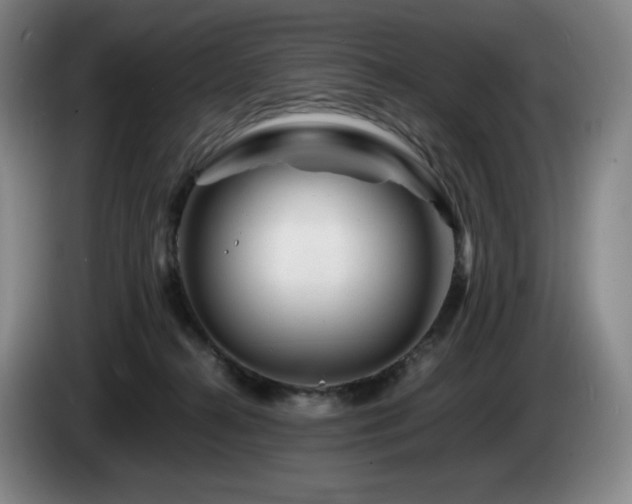 X0000085290272200703091416