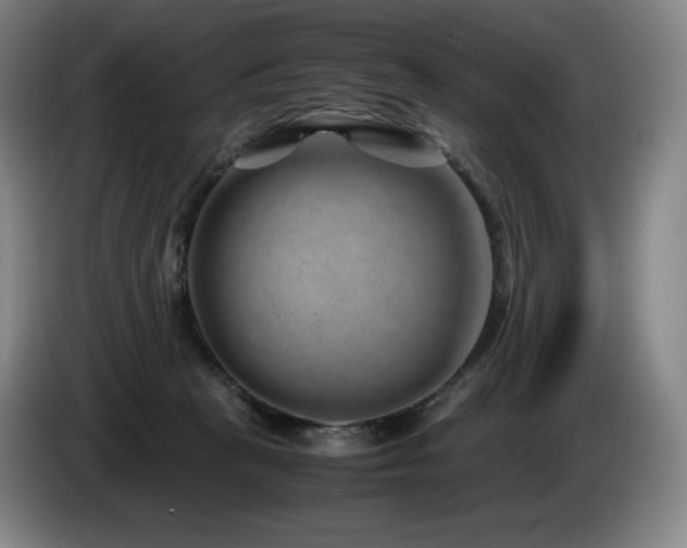 X0000085290273200703091416