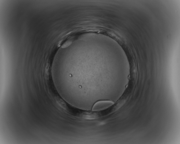 X0000085290275200703091416