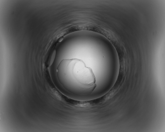 X0000085290278200703091416