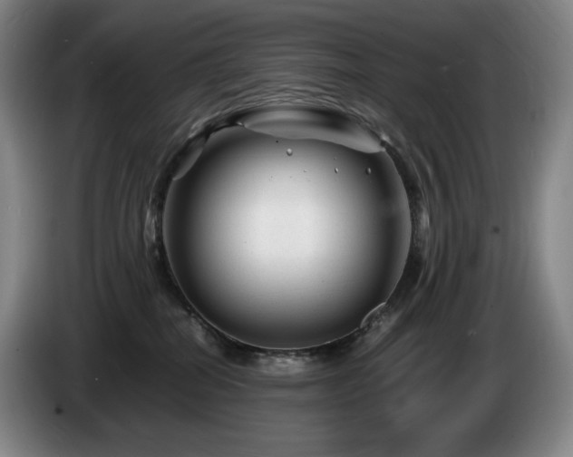 X0000085290282200703091416