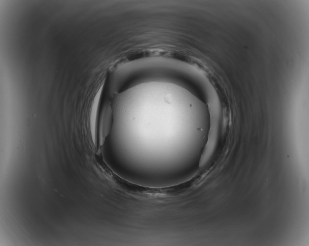 X0000085290284200703091416