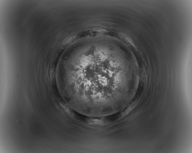 X0000085290285200703091416