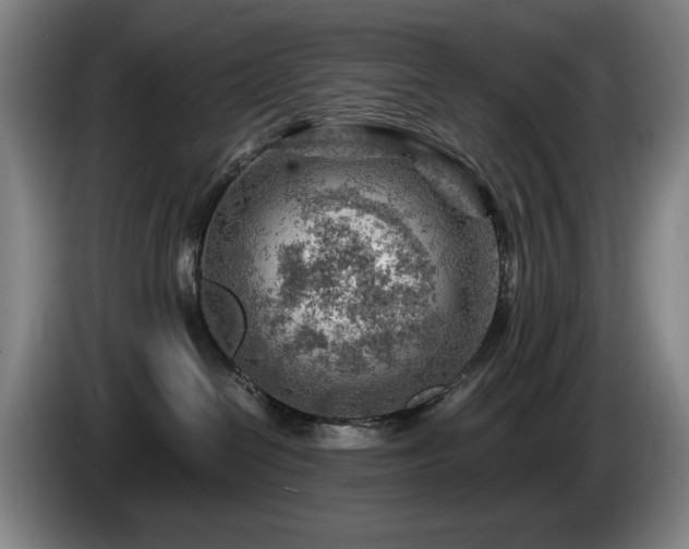 X0000085290286200703091416