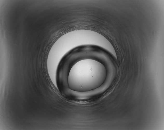 X0000085290288200703091416
