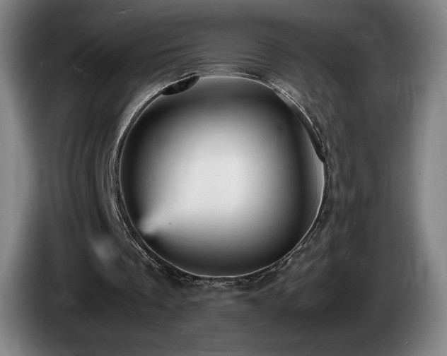 X0000085290289200703091416