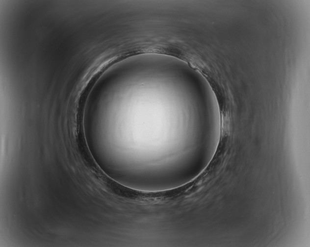 X0000085290291200703091416