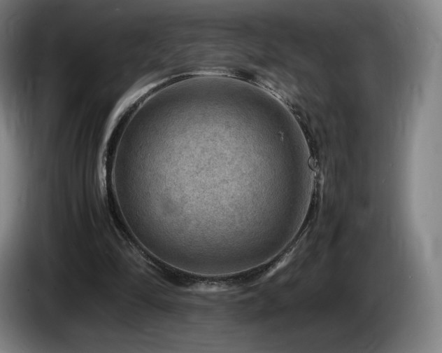 X0000085290294200703091416