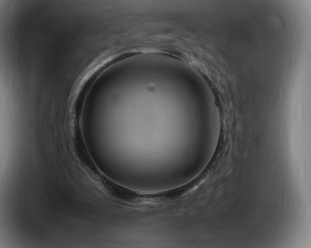 X0000085290295200703091416