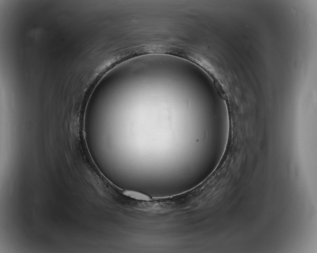 X0000085290297200703091416