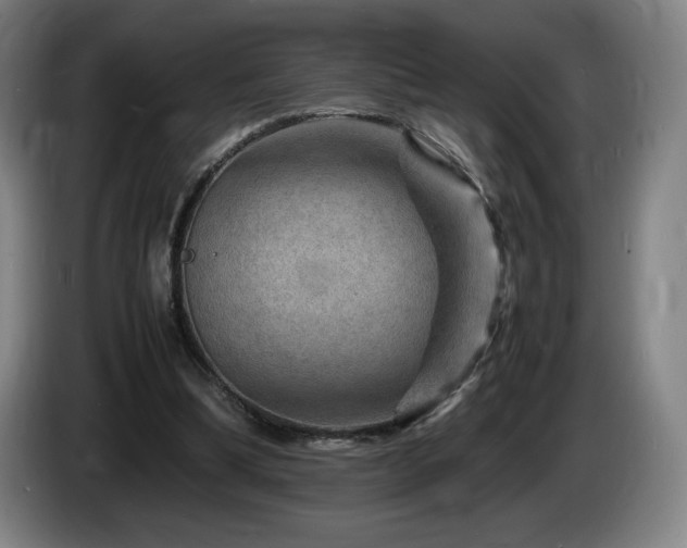 X0000085290298200703091416