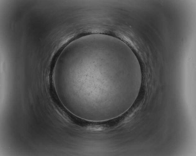 X0000085290299200703091416