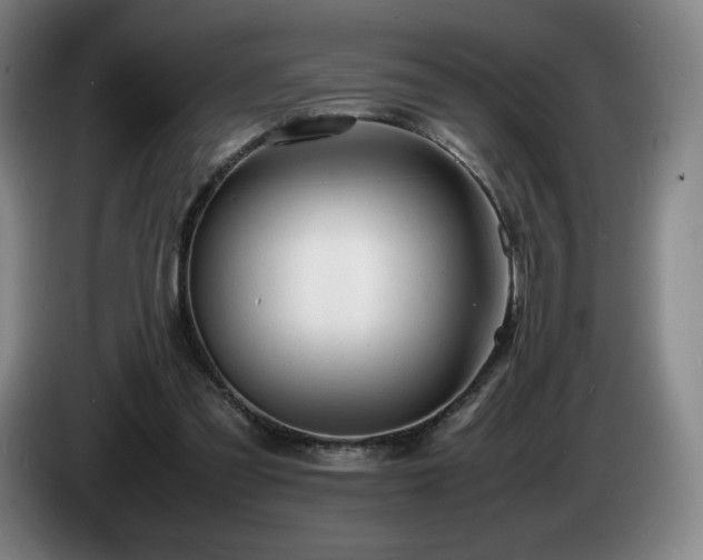X0000085290301200703091416