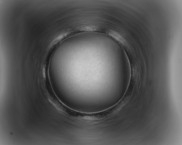 X0000085290302200703091416