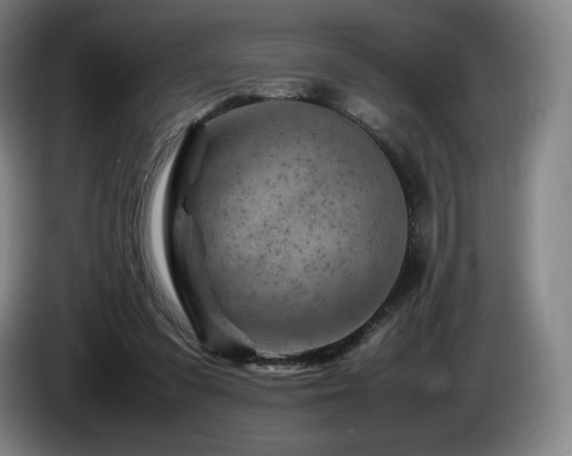 X0000085290303200703091416