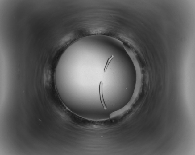 X0000085290308200703091415